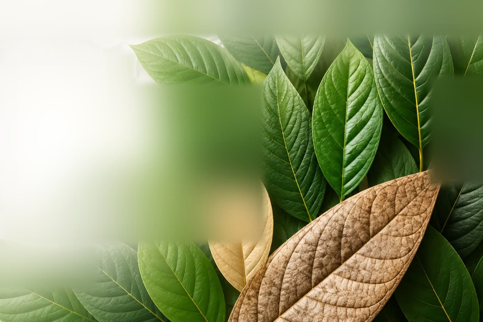 Botanical leaves in green, gold, and natural brown tones covering the hero background